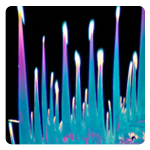 Cristales de Ácido Fólico