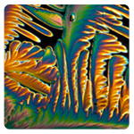 Cristales de Vitamina C