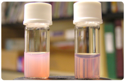 Detección  de Hipertrigliceridemia en plasma