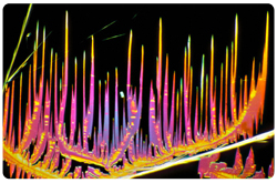 Cristales de Cafeina