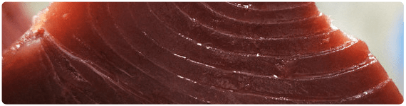 Los pescados y mariscos son excelentes fuentes de vitamina B12