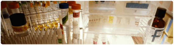 Estudio del genoma humano