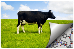 Alérgenos en la leche de vaca