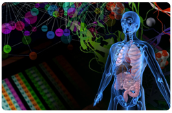 La NSB comienza en los niveles molecular y celular para describir la respuesta del organismo y los procesos cuantitativamente en términos matemáticos