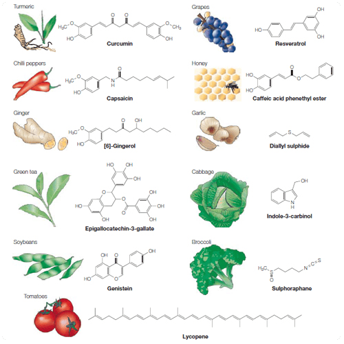 Fitoquímicos y sus fuentes dietarias Fitoquímicos y sus fuentes dietarias