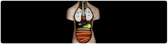 Múltiples beneficios de salud obtenidos de los fitoquímicos Múltiples beneficios de salud obtenidos de los fitoquímicos