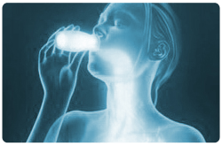 Término “probióticos”: expresión griega “pro bios”, es decir “para la vida”