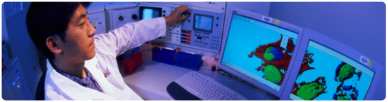 Técnica de fluorescencia para el estudio del crecimiento de Células-Beta pancreáticas