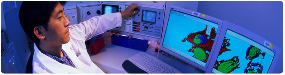 Técnica de fluorescencia para el estudio del crecimiento de Células-Beta pancreáticas