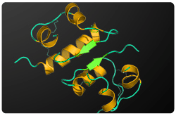 Estructura tridimensional de la insulina