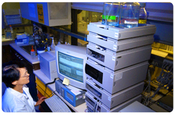 Técnico revisando los resultados del análisis de Cromatografía Liquida de Alto Desempeño (HPLC)