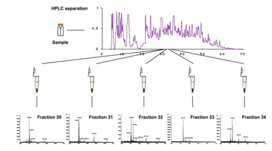Esquema de la información obtenida de la combinación de técnicas HPLC–MALDI-TOF MS