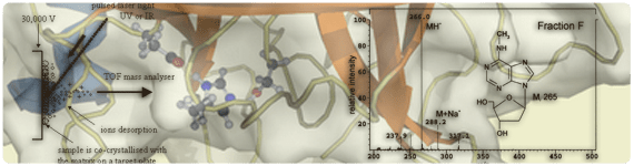 Los péptidos biomarcadores comunmente se analizan por MALDI-TOF