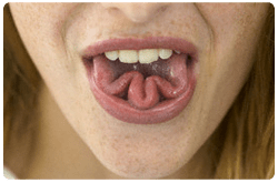 Percepción del gusto