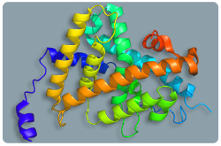Receptor de la hormona tiroidea (TR-Alfa)
