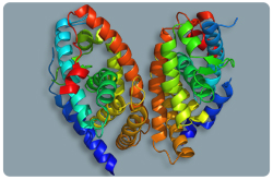 Receptor del ácido retinoico (RAR-Alfa)