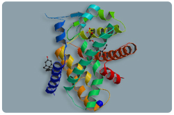 Receptor activado por proliferador de peroxisoma (PPAR-Alfa)