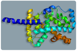 Receptor huerfano relacionado a RAR (ROR-Alfa o NR1F1)