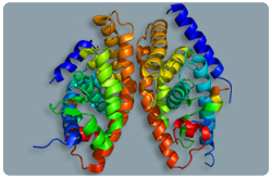 Receptor de hígado X (LXR-Alfa) es codificado por NR1H3