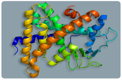 Receptor PXR, también conocido como NR1I2