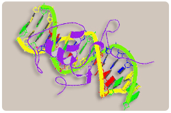 Factor de crecimiento neural IB (NGFIB o Nur77)
