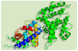 Receptor DAX-1 Receptor DAX-1