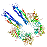 Fibrinógeno, Cadena alfa [Modelo tridimensional]