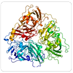 Ceruloplasmina [Modelo tridimensional]