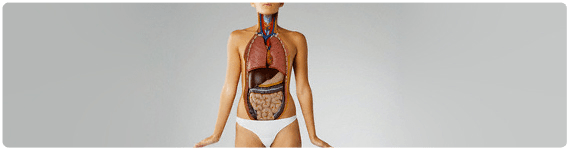 Investigación nutrigenómica 