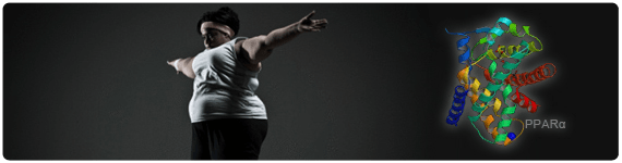 PPARs y la estrategia antiobesidad PPARs y la estrategia antiobesidad