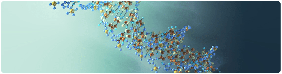 Molecula de dsRNA Molecula de dsRNA