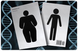 El epigenoma permite diferenciar entre individuos