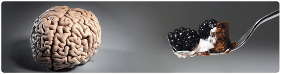 El hipotálamo juega un importante papel en el control del apetito