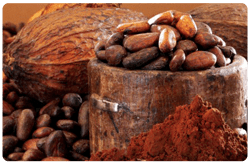 Granos de cacao Granos de cacao