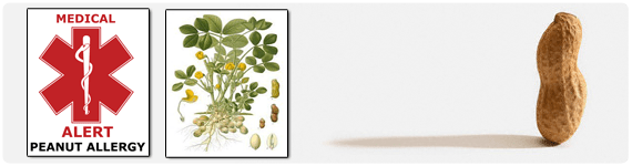 La alergia al cacahuate es causada por proteínas en la semilla y hasta ahora se han identificado 10 alérgenos en el cacahuate