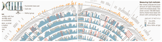 Representación gráfica del mapeo del epigenoma humano
