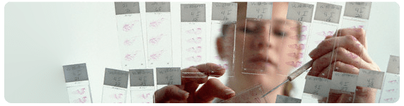 Científica analizando varias muestras de tejidos cancerosos