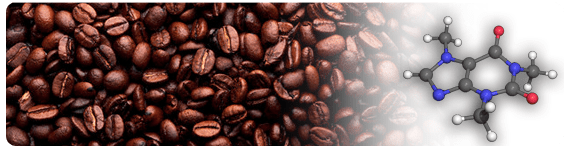 La cafeína (masa molar 194.19 g/mol) se conoce también como un alcaloide de purina