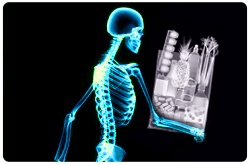 El fosfato dietario es requerido para apoyar el crecimiento y mantenimiento del esqueleto