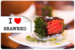 Los flavonoides y sus glicósidos presentes en algas verdes, cafés y rojas exhiben propiedades antioxidantes, y han demostrado su capacidad para actuar contra la arterioesclerosis y el cáncer