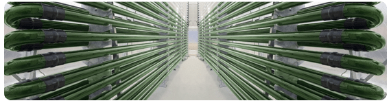 La combinación de aceptación del consumidor, los avances en la ciencia y la tecnología puede ser tomada como una oportunidad para desarrollar productos funcionales a base de algas marinas La combinación de aceptación del consumidor, los avances en la ciencia y la tecnología puede ser tomada como una oportunidad para desarrollar productos funcionales a base de algas marinas