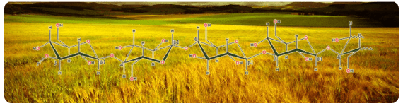 El β-glucano de avena han mostrado un efectos disminuidor de colesterol en sangre