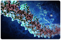 Cambios en los perfiles de metilación del DNA pueden ocurrir durante el envejecimiento y en los estados patológicos, como el cáncer y las enfermedades metabólicas