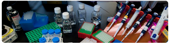 Varios estudios han mostrado una relación entre la ingestión de pescado o aceite de pescado y la alimentación al seno materno en los resultados cognitivos posteriores Varios estudios han mostrado una relación entre la ingestión de pescado o aceite de pescado y la alimentación al seno materno en los resultados cognitivos posteriores