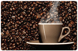 El café contiene más de mil químicos potencialmente activos y algunos de ellos pueden afectar la función CVS y la enfermedad cardiaca