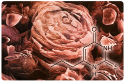Micrografia de las papilas gustativas y la sensibilidad a 6-n-propiltiouracilo (PROP) tienen relación con el comportamiento alimentario y la masa corporal