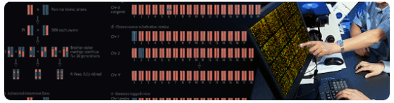 El fenotipado molecular incluye típicamente micromatrices (también conocidos como microarrays o microarreglos)