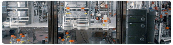 La “piedra Rosetta”, mecanismo o código, para revelar este rompecabezas descansa en el desarrollo de nutrimentos en sistemas de microcultivo donde múltiples nutriomas son probados simultáneamente