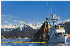 Materiales como piel, músculo, sobrantes, hueso y órganos internos se utilizan para aislar varios materiales bioactivos