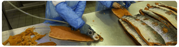 Se han intensificado los esfuerzos de investigación para identificar los componentes funcionales y bioactivos de los organismos marinos